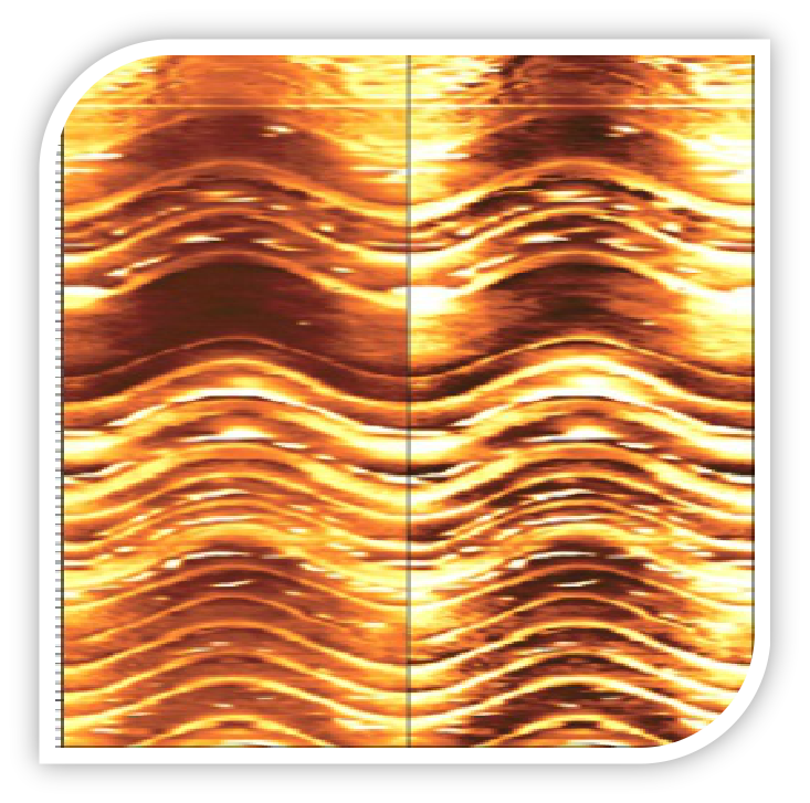 Geological oriented technical service